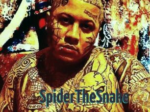 SpiderTheSnake