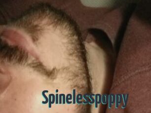 Spinelesspoppy