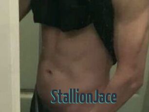 StallionJace