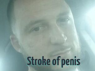 Stroke_of_penis