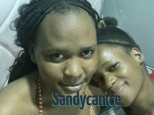 Sandycanice