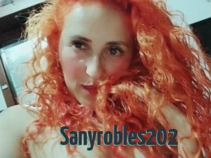 Sanyrobles202