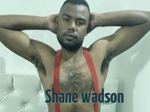 Shane_wadson