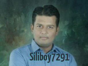 Siliboy7291