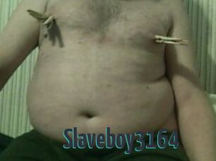 Slaveboy3164