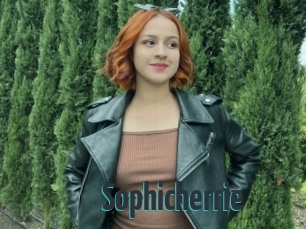 Sophicherrie