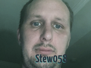 Stew058