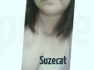 Suzecat