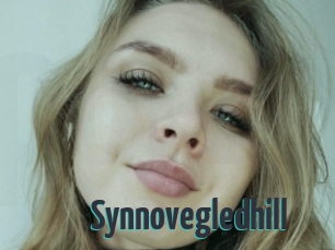 Synnovegledhill