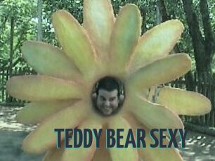 TEDDY_BEAR_SEXY