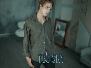 TEO_SKY