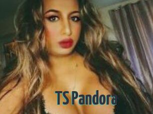 TS_Pandora