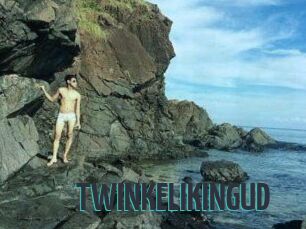 TWINKELIKINGUD