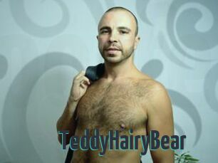 TeddyHairyBear