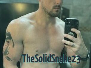 TheSolidSnake23