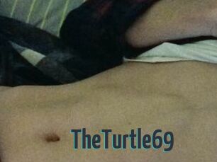 TheTurtle69