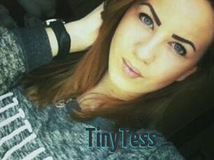 TinyTess