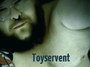 Toyservent