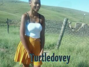 Turtledovey