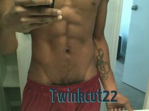 Twinkcut22