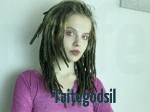 Taitegodsil