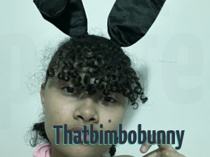 Thatbimbobunny