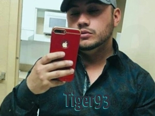 Tiger93