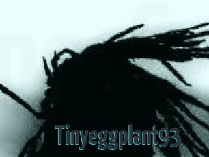 Tinyeggplant93