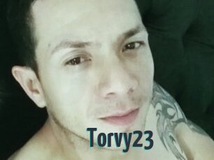 Torvy23