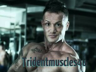 Tridentmuscles4u