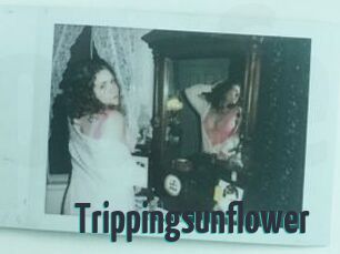 Trippingsunflower