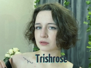 Trishrose