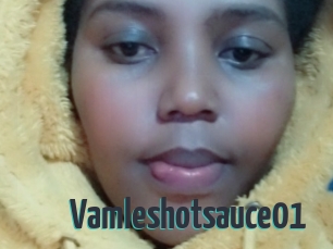 Vamleshotsauce01