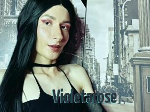 Violetarose