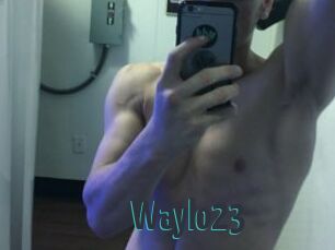 Waylo23