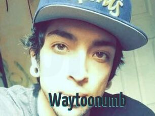 Waytoonumb