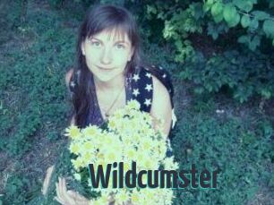 Wildcumster