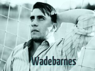 Wadebarnes