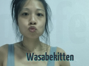 Wasabekitten