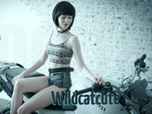 Wildcatcute