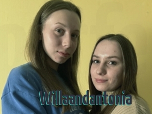 Willaandantonia