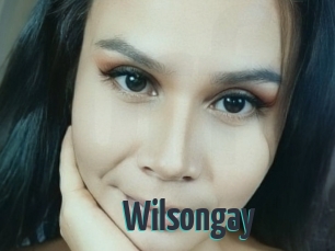 Wilsongay