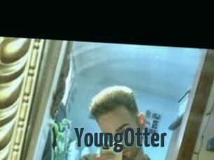 YoungOtter