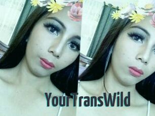 YourTransWild