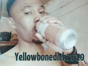 Yellowbonedick2010