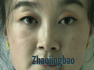 Zhaojingbao