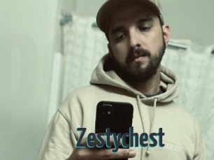 Zestychest