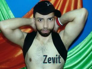 Zevit