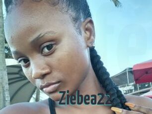 Ziebea22